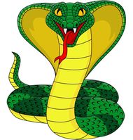 属蛇女和什么属相最般配(完美配对指南)