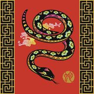 男鸡配女蛇的婚姻怎么样(一场跨物种的奇妙婚姻)