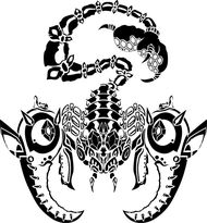 天蝎座女生今年运势超准(财运亨通爱情甜蜜)