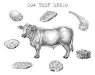 金牛座2023桃花方向(爱情运势大揭秘)