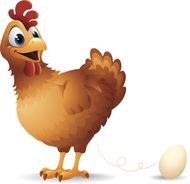 鸡三合和六个生肖是什么(揭秘中国传统文化中的神秘号)