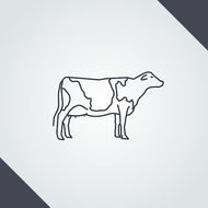 金牛座女和摩羯座男配吗(星座专家揭秘)