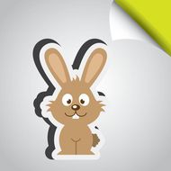 属兔晚上7点出生好不好(解析兔子命运)