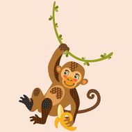 女属猴的婚配最佳是什么(如何选择最适合的伴侣)