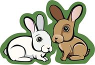 属兔最好婚配是什么属相(最佳婚配星座大揭秘)