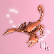 把天蝎女当宝贝的星座男(独爱天蝎女的理由)