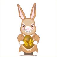 女兔宝宝五行缺金的名字(如何选择)