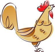 2023说鸡的运气好吗(预测鸡年将带来好运)