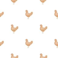 属鸡的人一生运程好不好(解析命运多舛还是飞黄腾达)