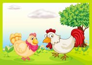 几月鸡命最好几月最苦(揭秘鸡的命运与季节之间的关系)