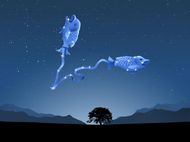 双鱼座生日礼物攻略(如何选出最贴心的礼物)