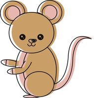 七二年属鼠能挺过49岁(如何健康长寿)