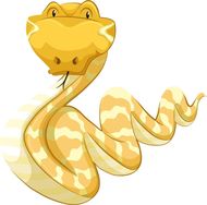 属蛇的和什么属相相克呢(解析属蛇人的克星)