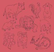 12生肖的正确排列顺序(你知道吗)