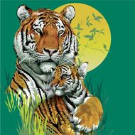 属虎今日运势财运如何呢(财运亨通好事连连)