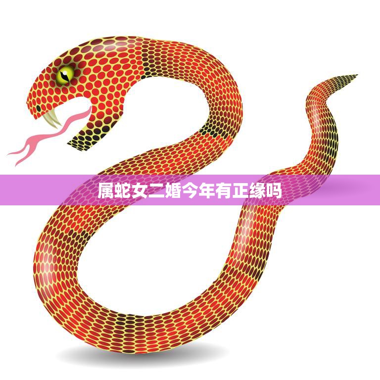属蛇女二婚今年有正缘吗(解析2023年属蛇女二婚姻运势)