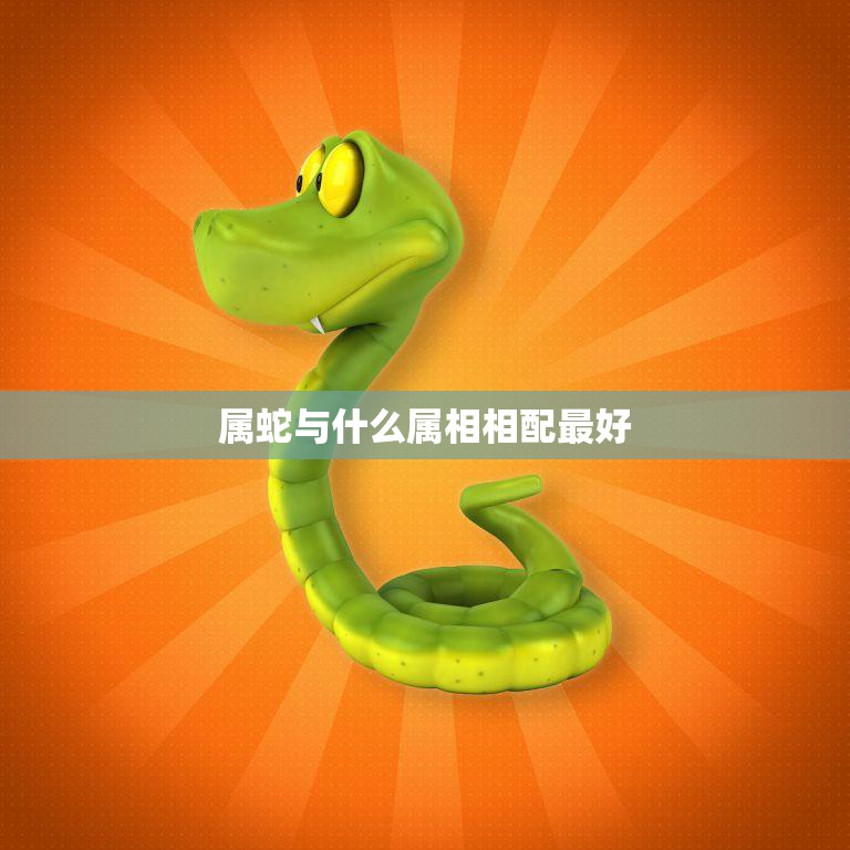 属蛇与什么属相相配最好(12生肖中最佳配对)