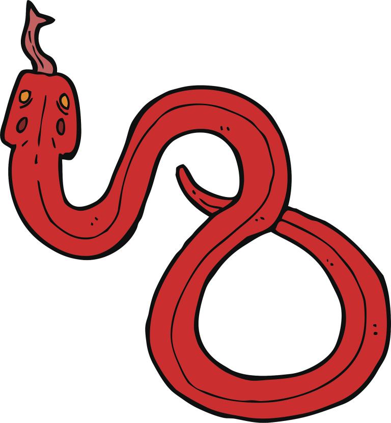 属蛇的和什么属相最搭配(完美配对揭秘最佳搭档)