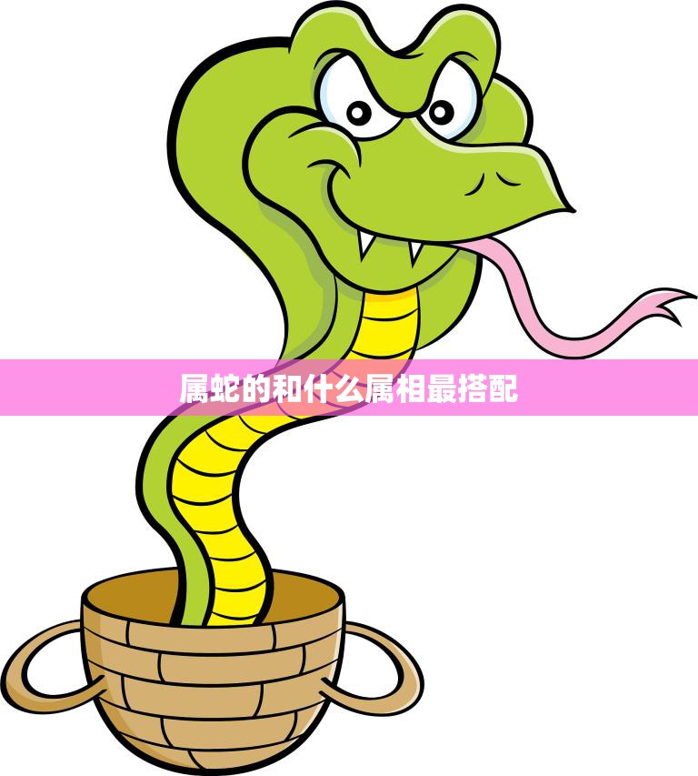 属蛇的和什么属相最搭配(完美配对揭秘最佳搭档)