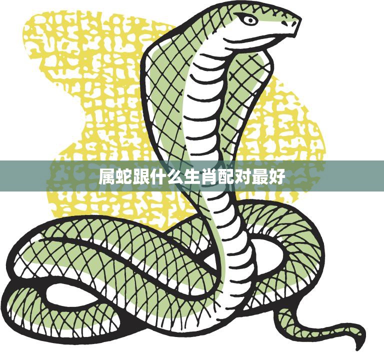 属蛇跟什么生肖配对最好(寻找最佳配对)