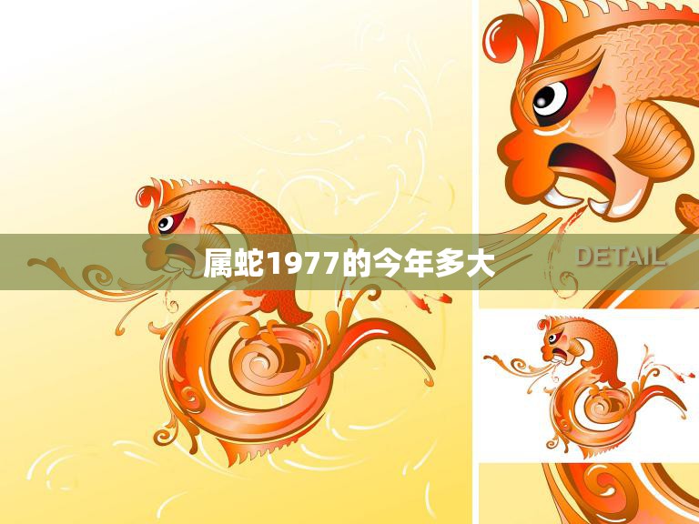 属蛇1977的今年多大(如何应对中年危机)