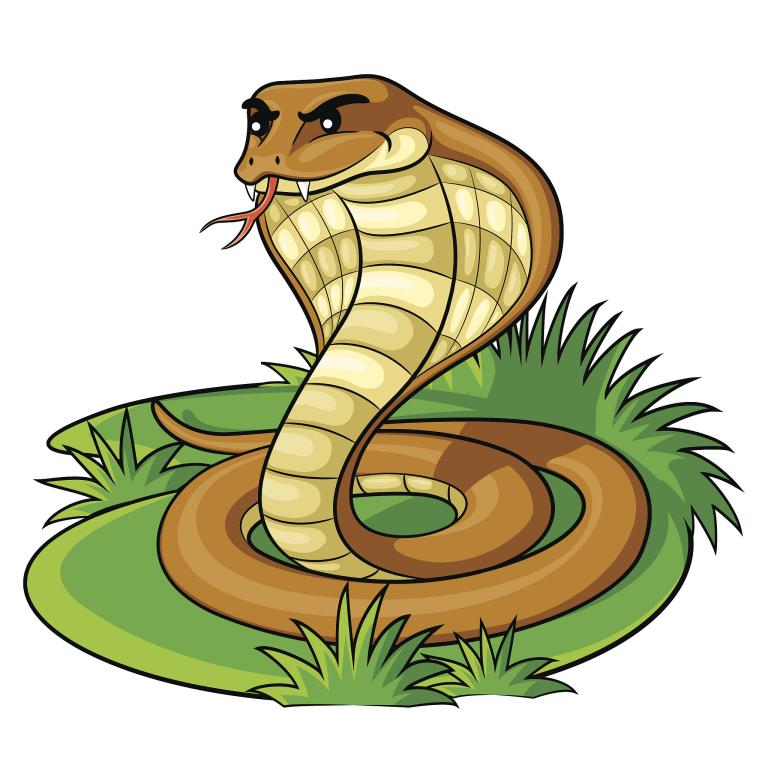 生肖蛇过了45岁就顺了(为什么)