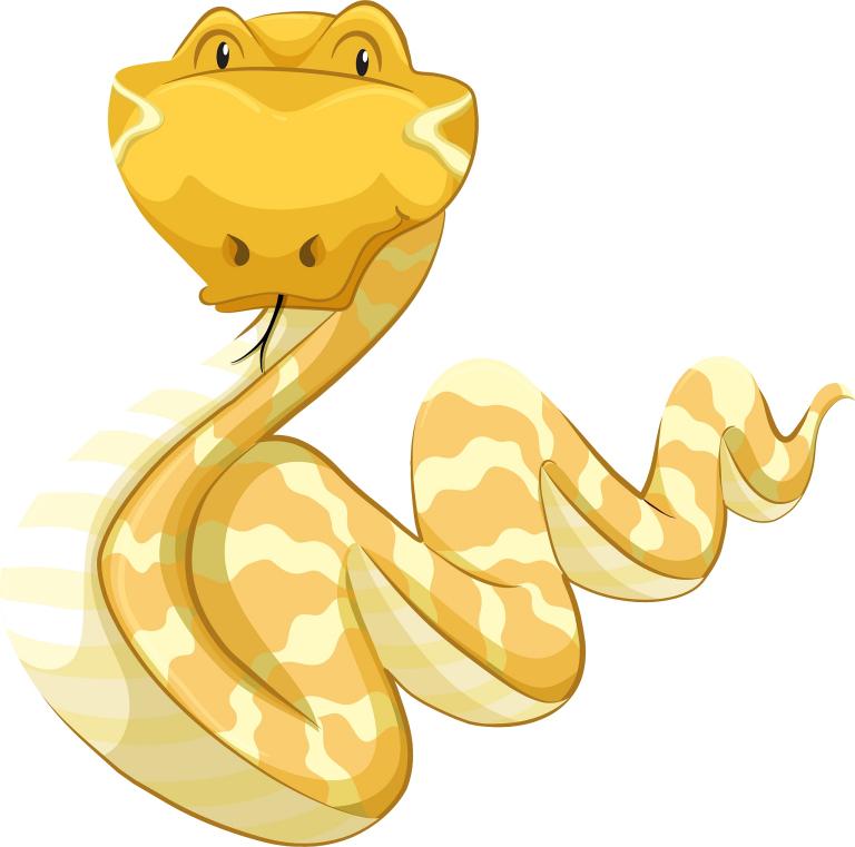 77年属蛇人2023年(运势展望财运亨通事业有成)