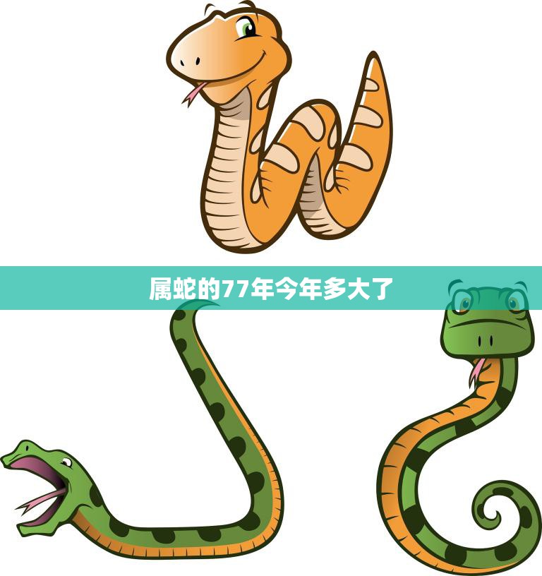 属蛇的77年今年多大了(解密77年属蛇人的年龄计算方法)