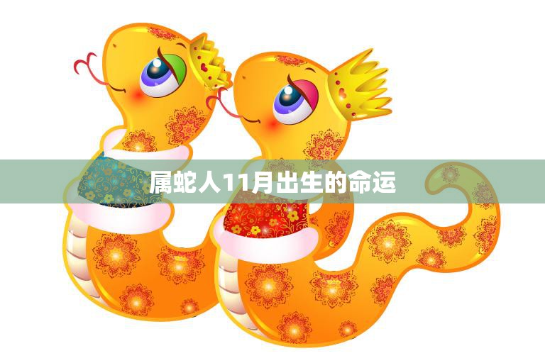 属蛇人11月出生的命运(如何预测)