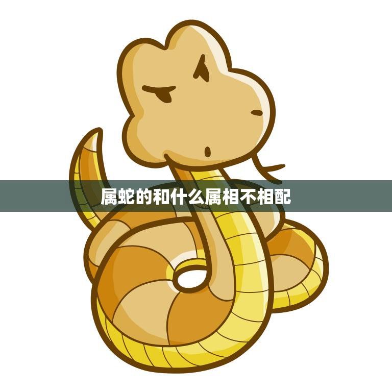 属蛇的和什么属相不相配(蛇年人的爱情禁忌)