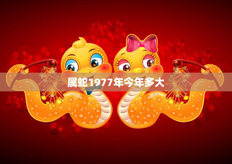 属蛇1977年今年多大(如何算出属蛇人今年的年龄)