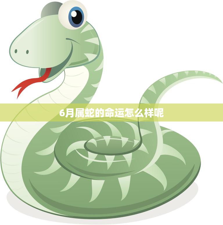 6月属蛇的命运怎么样呢(解析财运、感情、健康全面升级)