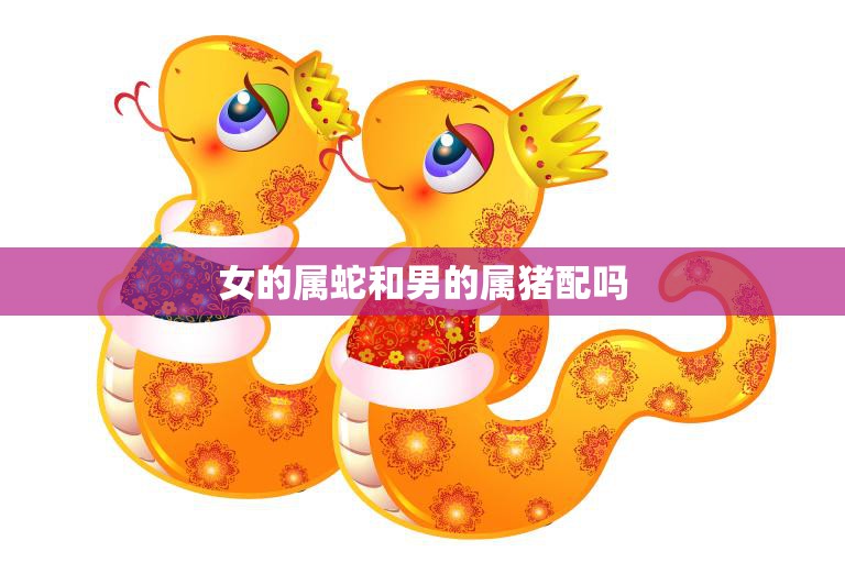 女的属蛇和男的属猪配吗(星座配对解析)