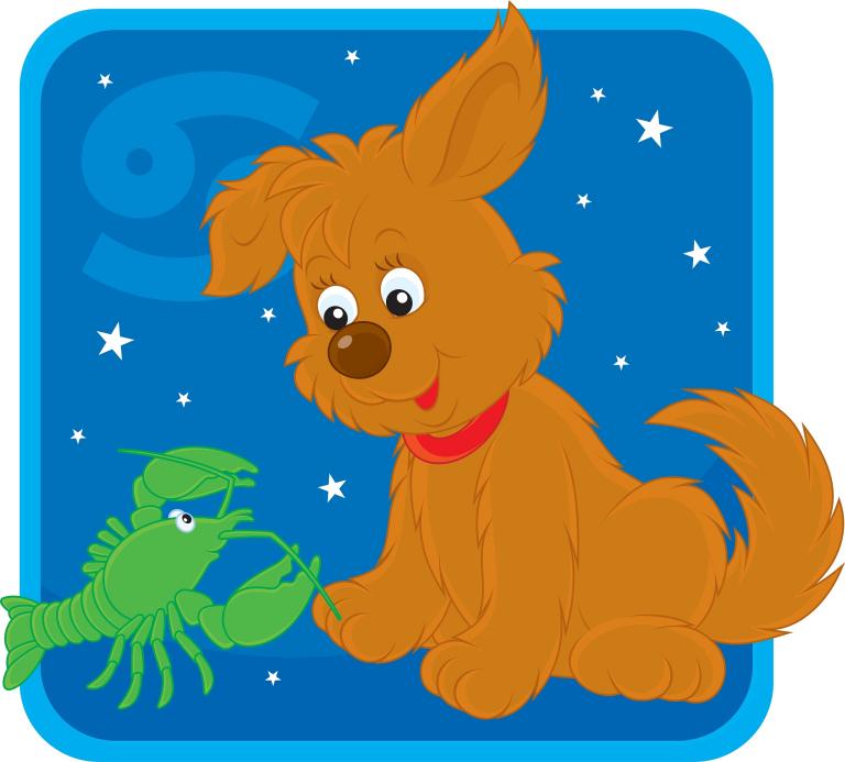 巨蟹座的女生和什么座最配(完美星座组合揭秘)