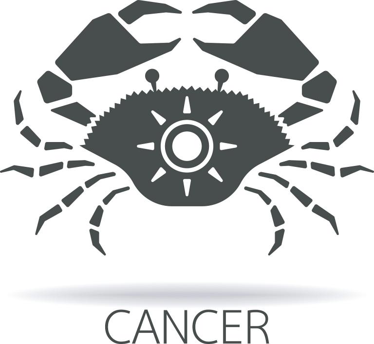 巨蟹座2023学业怎么样(未来学业发展如何)