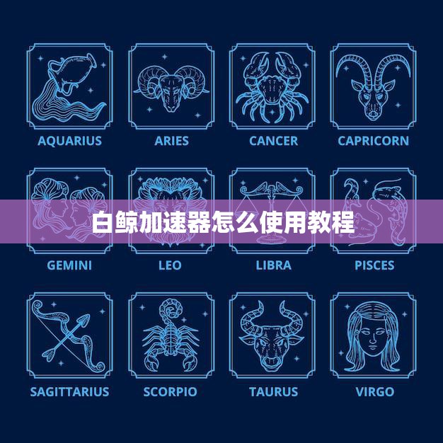 白鲸加速器怎么使用教程(快速上手指南)