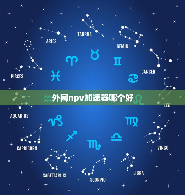 外网npv加速器哪个好(选择最佳加速器提升网络速度)