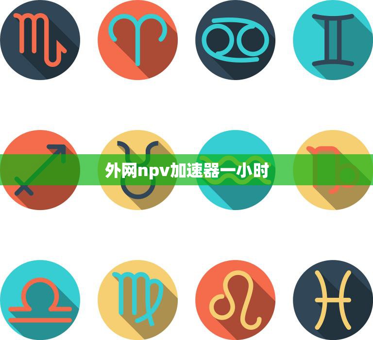 外网npv加速器一小时(让你的网络速度飞起)