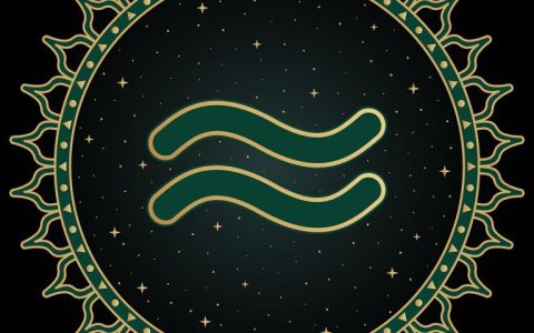水瓶座的特点和弱点是什么(解析个性独立思维敏捷但情感冷漠)
