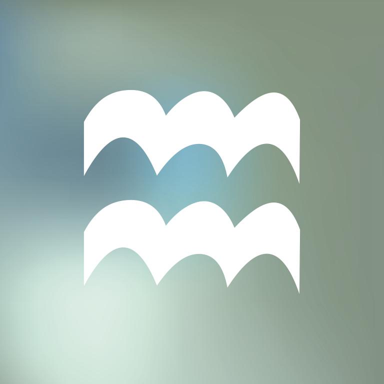 水瓶男和什么星座最配(星座配对大揭秘)