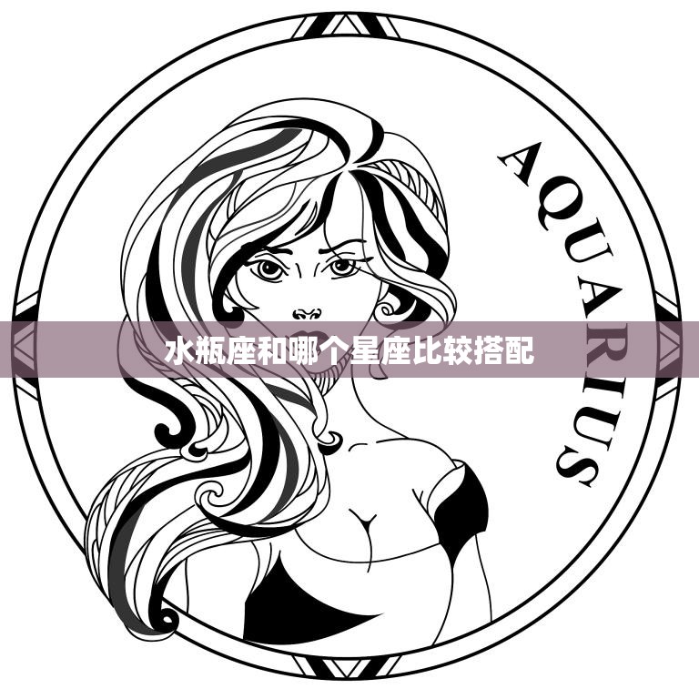 水瓶座和哪个星座比较搭配(最佳星座组合大揭秘)