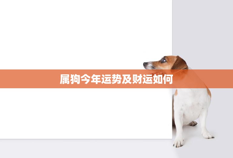 属狗今年运势及财运如何(狗年大展宏图财运亨通)