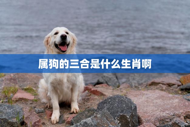 属狗的三合是什么生肖啊(揭秘狗年三合属相你是其中之一吗)