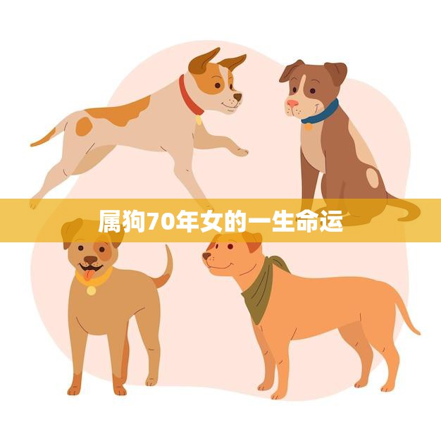 属狗70年女的一生命运(如何把握命运转机)