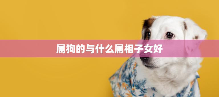 属狗的与什么属相子女好(最佳搭配大揭秘)