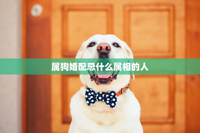 属狗婚配忌什么属相的人(如何避免婚姻破裂)