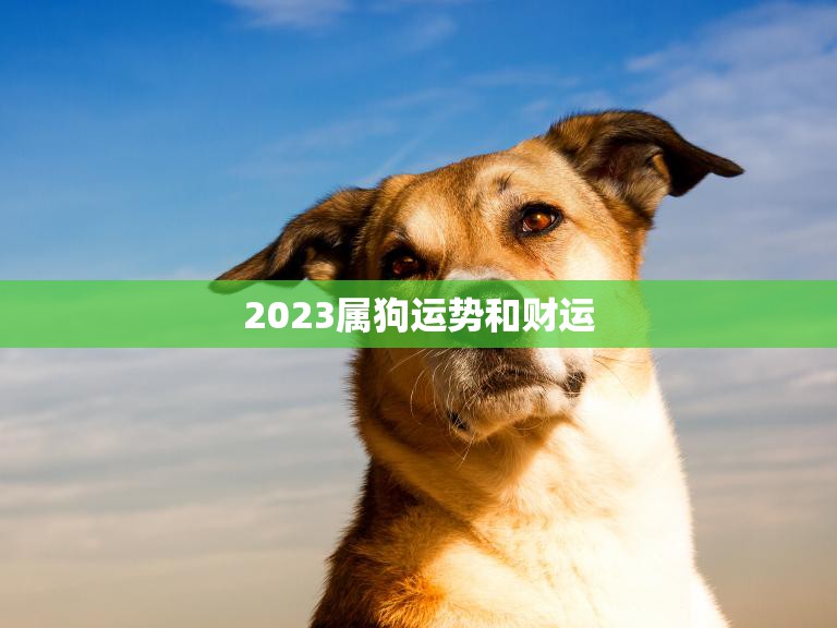 2023属狗运势和财运(狗年大展宏图财运亨通)