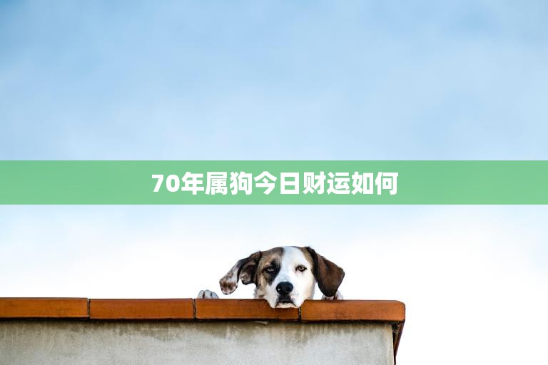 70年属狗今日财运如何(财运亨通财源滚滚来)