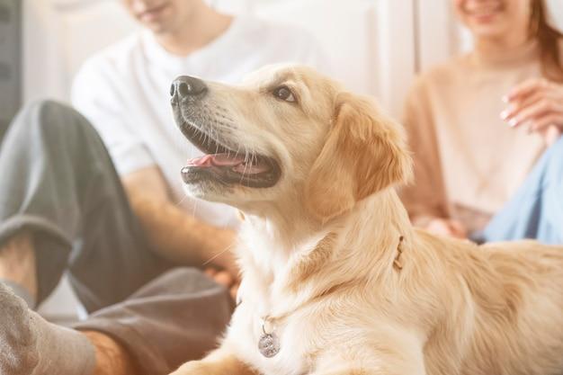 属狗的虚岁多大1994(狗年出生的人今年几岁)