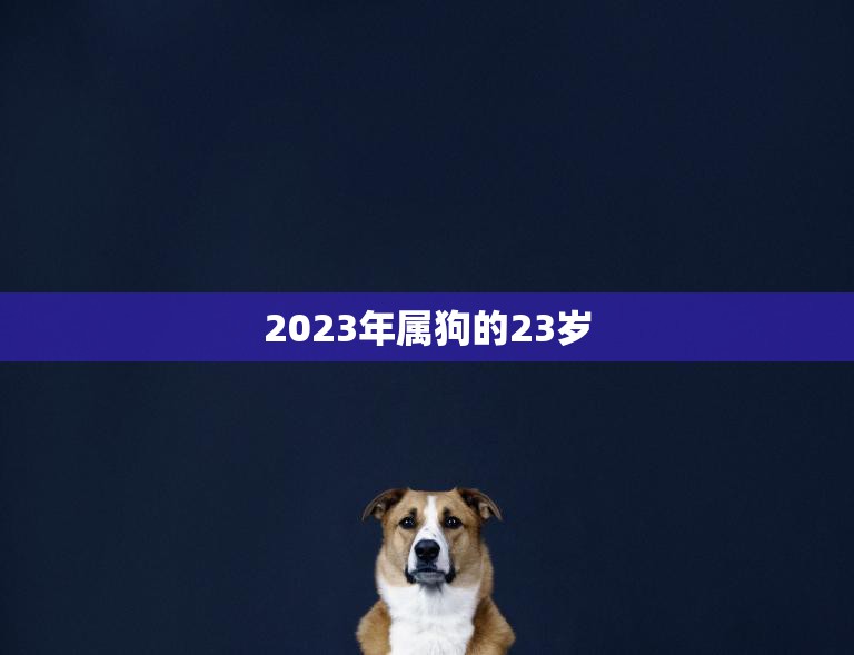 2023年属狗的23岁(狗年里的人生新篇章)